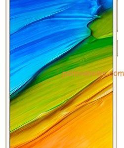 Redmi 5 (Gold, 2GB RAM, 16GB Storage)